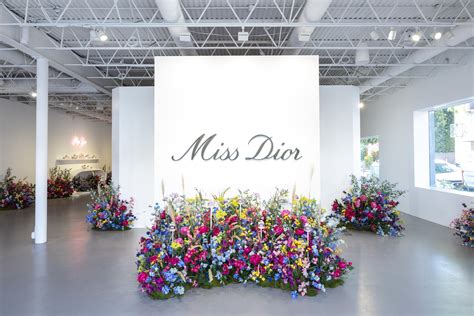 dior pop up los angeles|dior opening party.